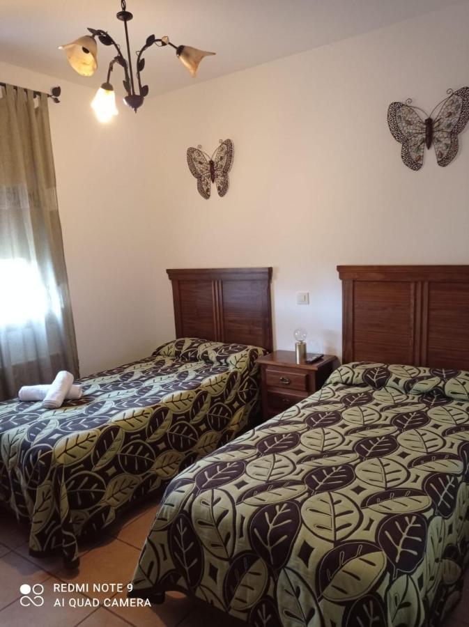 Hostal El Hayedo Cantalojas Buitenkant foto